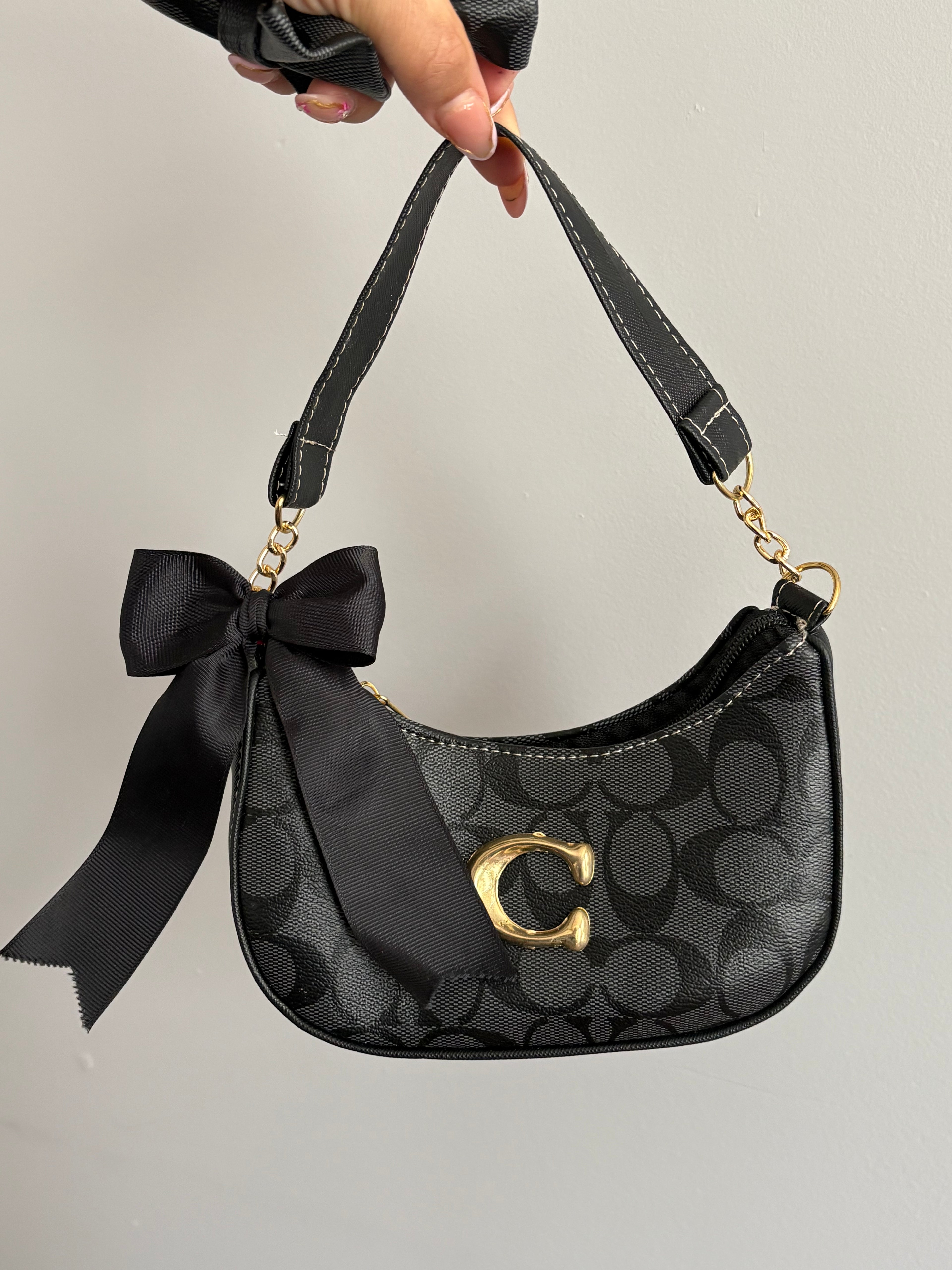 Bag Back