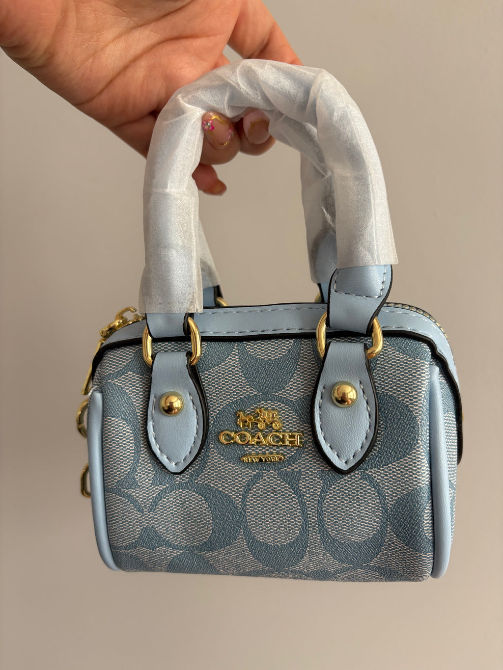 SkyBlue Mini Purse
